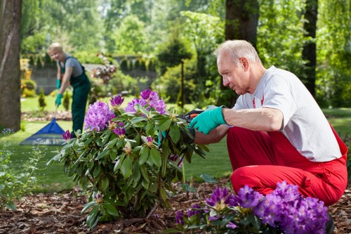 Eco-friendly garden clearance practices