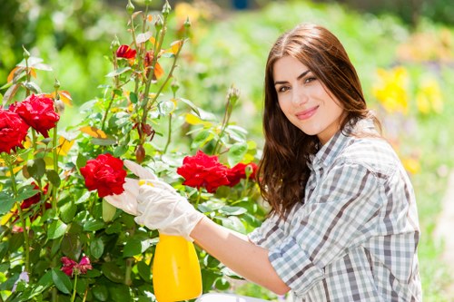 Investigator inspecting a garden to review a complaint