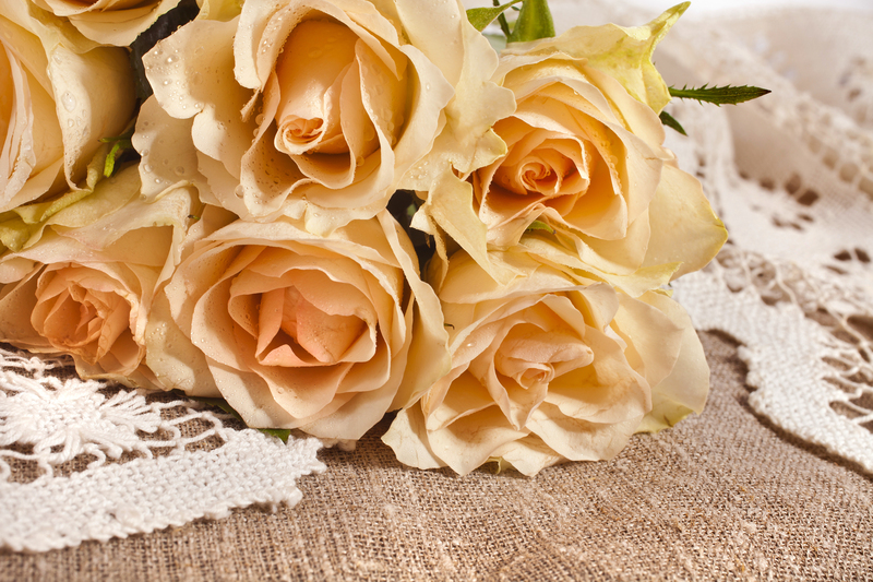 garden landscaping garden design